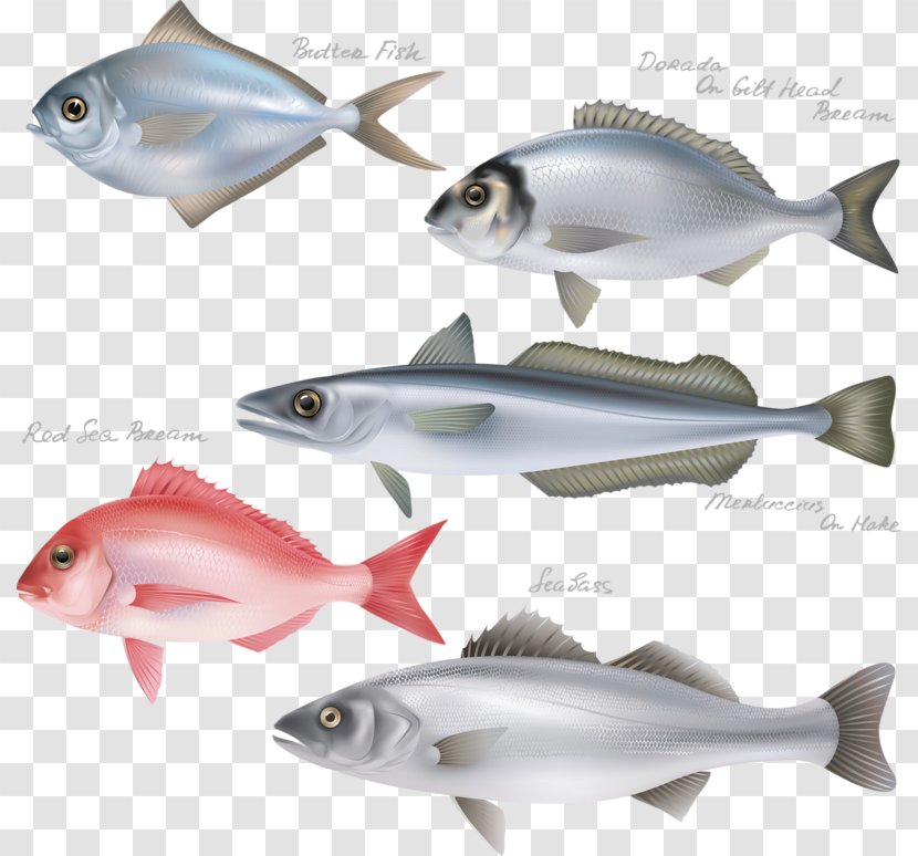 Fish Steak Fishing Clip Art - The Icon Transparent PNG