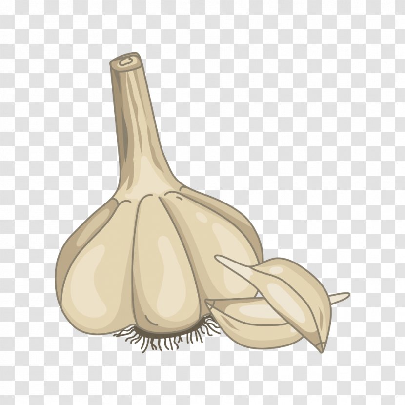 Garlic - Food - Hand-painted Transparent PNG