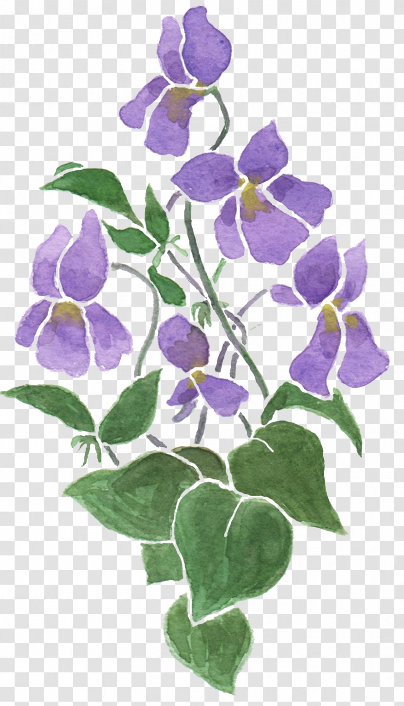 Cloth Napkins Sweet Violet Flower Drawing Transparent PNG