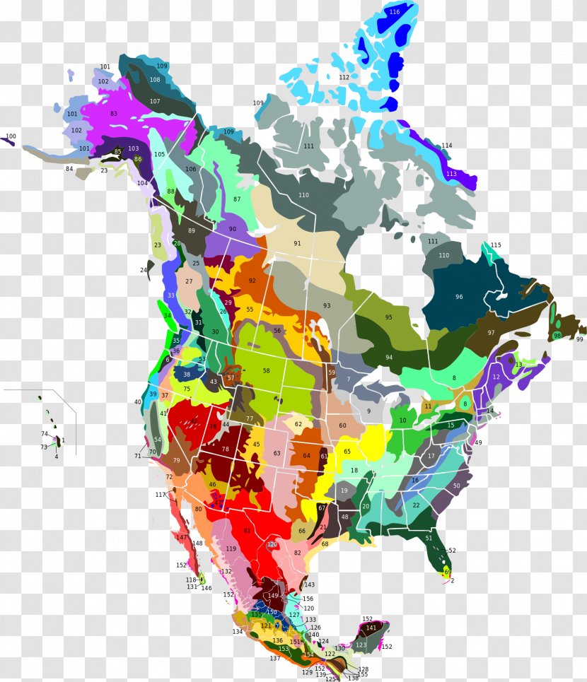 United States Ecoregion South Florida Rocklands Tropical And Subtropical Moist Broadleaf Forests Nearctic Realm - Art Transparent PNG