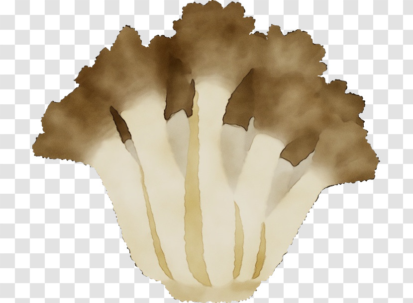 Mushroom Cloud Transparent PNG