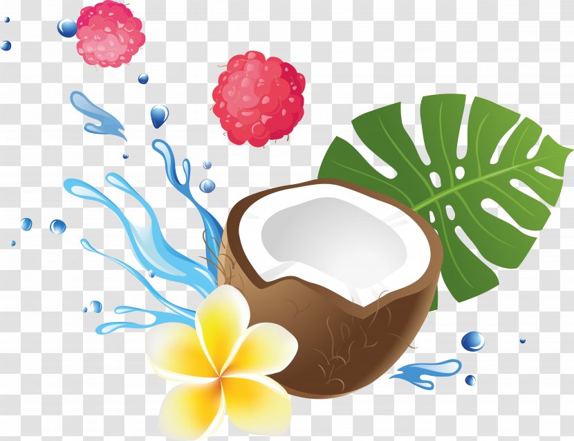 Fruit Coconut - Cartoon Transparent PNG