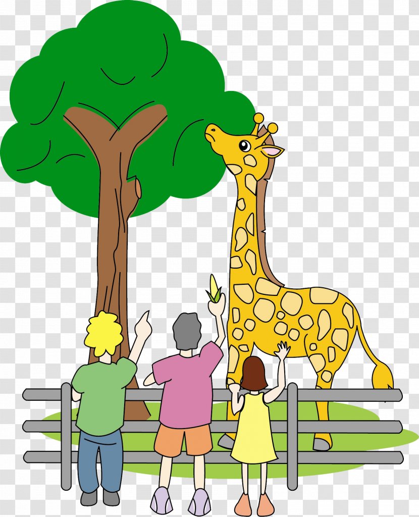 Giraffe Terrestrial Animal Wildlife Mammal - Tree - Zoo Transparent PNG