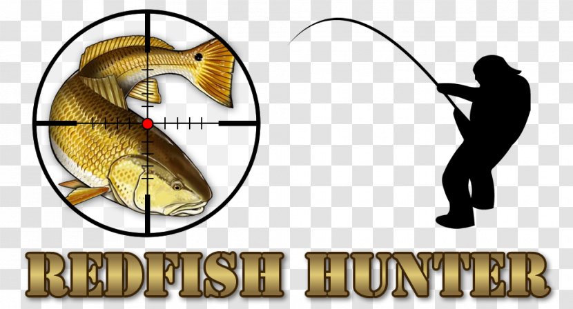 Homosassa Crystal River Fishing Desktop Wallpaper Clip Art - Symbol - Redfish Transparent PNG