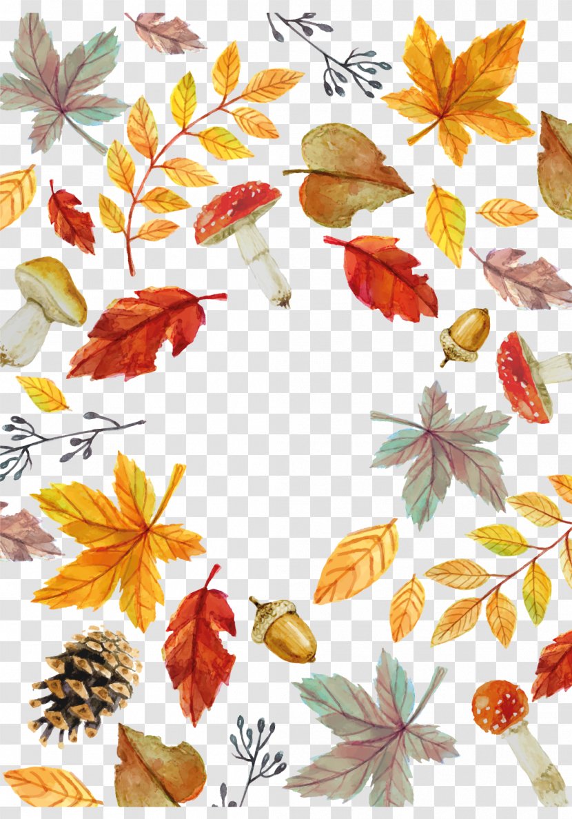 Autumn Leaf Euclidean Vector - Pattern - Watercolor Fall Elemental Card Transparent PNG