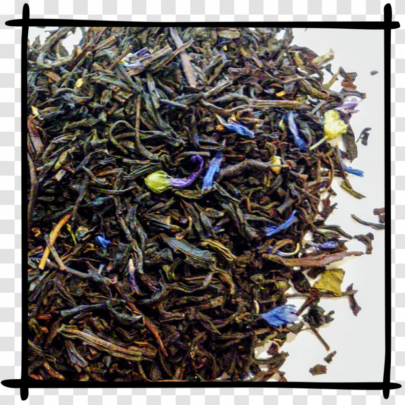 Dianhong Golden Monkey Tea Nilgiri Ink - Darjeeling Transparent PNG