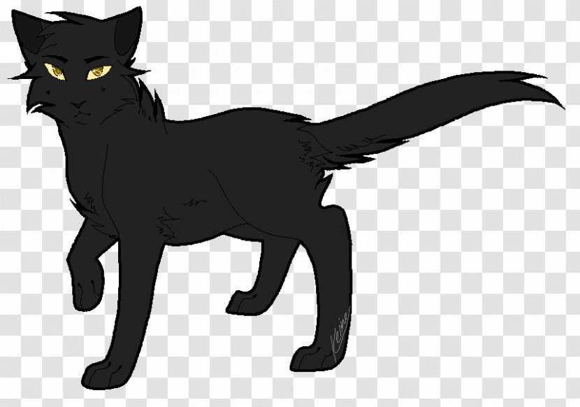 Black Cat Domestic Short-haired Whiskers Super Edition Series - Flower - Cartoon Warrior Drawings Transparent PNG