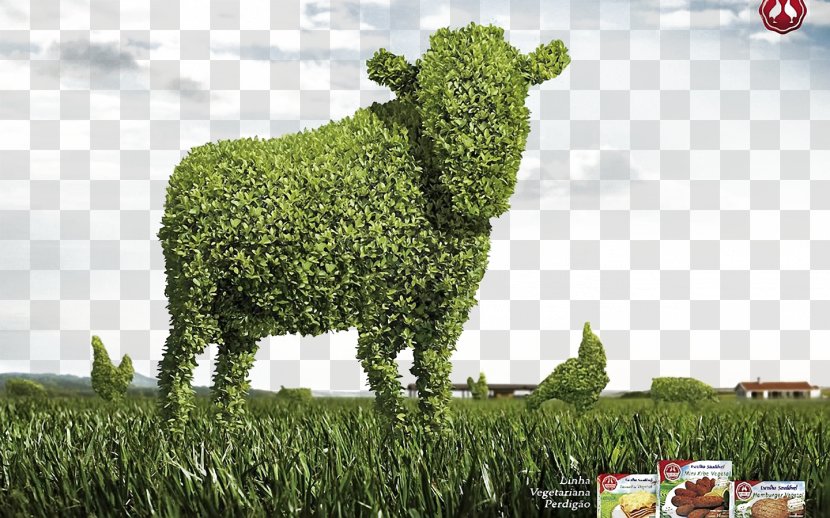 Cattle Creativity Wallpaper - Garden - Cow Prairie Grass Background Transparent PNG