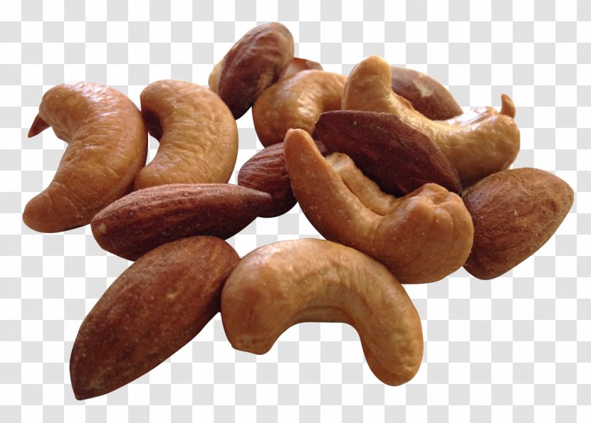 Cashew Nut Pistachio Food Bean - Kielbasa Transparent PNG