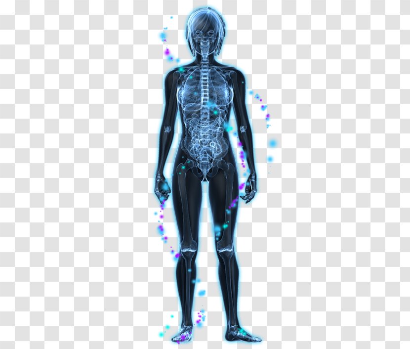Vagus Nerve Parasympathetic Nervous System Autonomic - Watercolor - Feminine Body Transparent PNG