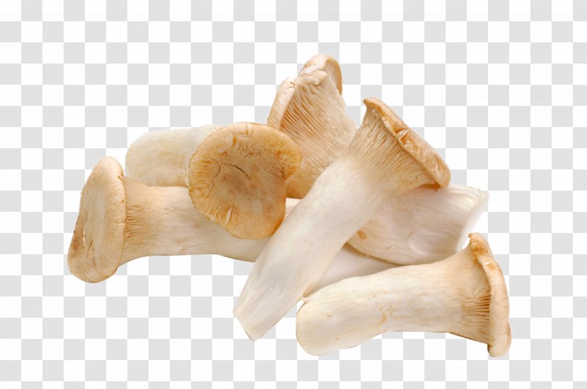 Pleurotus Eryngii Mushroom Food Vegetable Agaricus - HD Fresh Mushrooms Transparent PNG