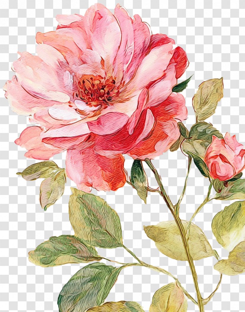 Canvas Art Flower Painting Rose - Picture Frames Transparent PNG
