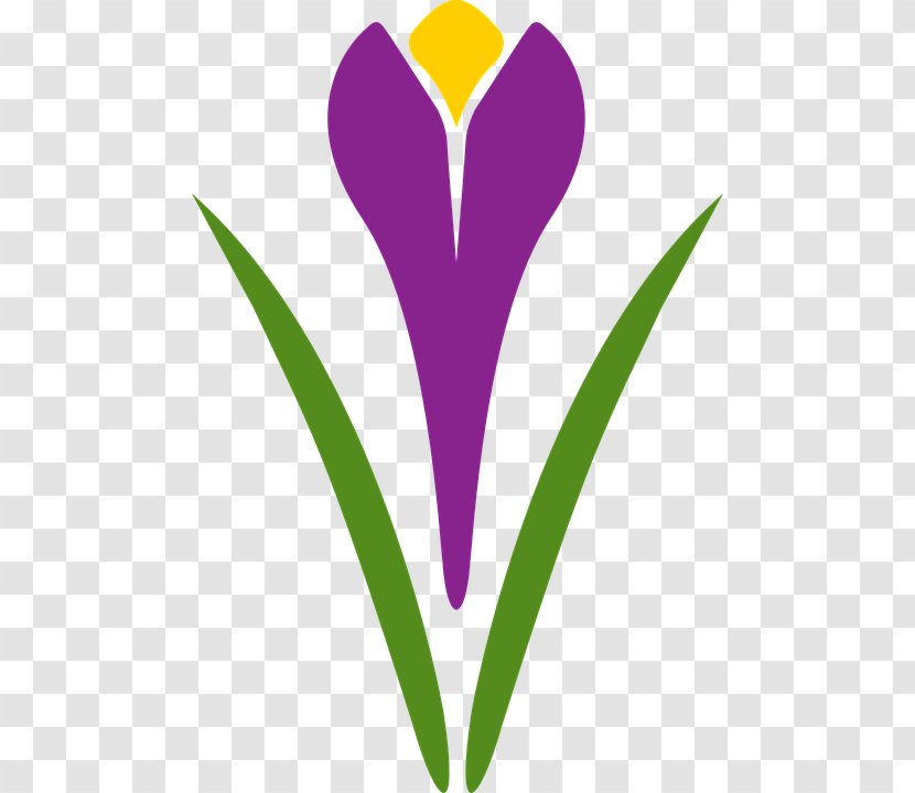Clip Art Vector Graphics Image Logo - Purple - Saffron Flower Transparent PNG
