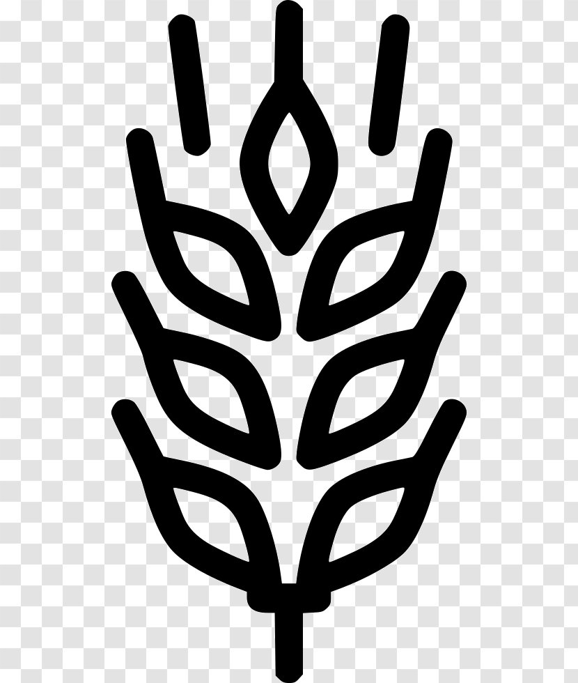 Wheat Cartoon - Agriculture - Symmetry Symbol Transparent PNG