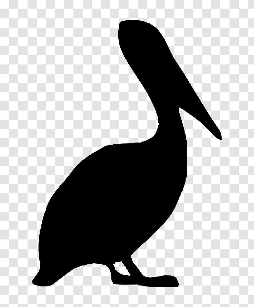 Silhouette Brown Pelican Drawing Clip Art - Australian Transparent PNG