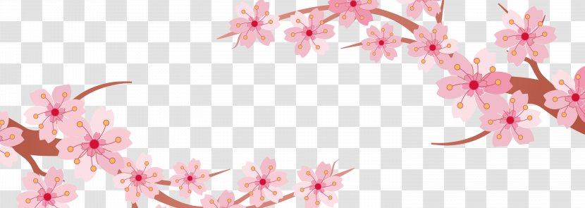 Cherry Blossom Banner - Petal - Blossoms Transparent PNG