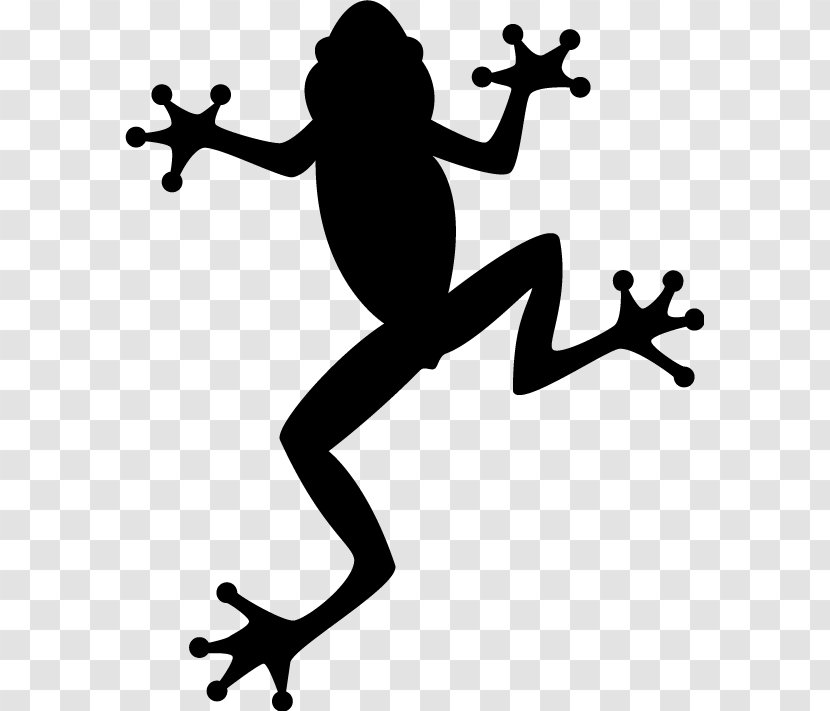 Australian Green Tree Frog Clip Art - Poison Dart Transparent PNG