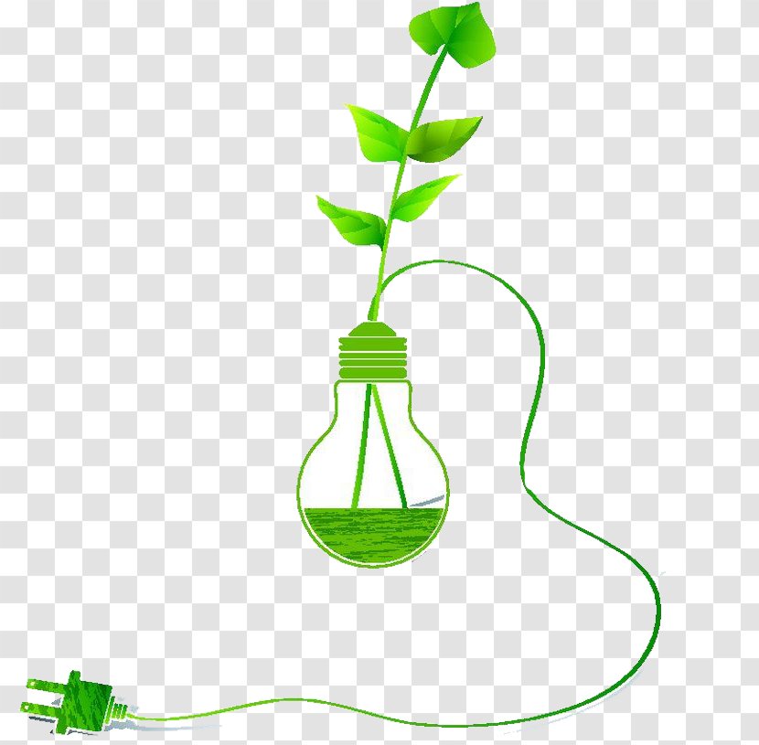 Green Incandescent Light Bulb - Energy Conservation - Of Plants Transparent PNG