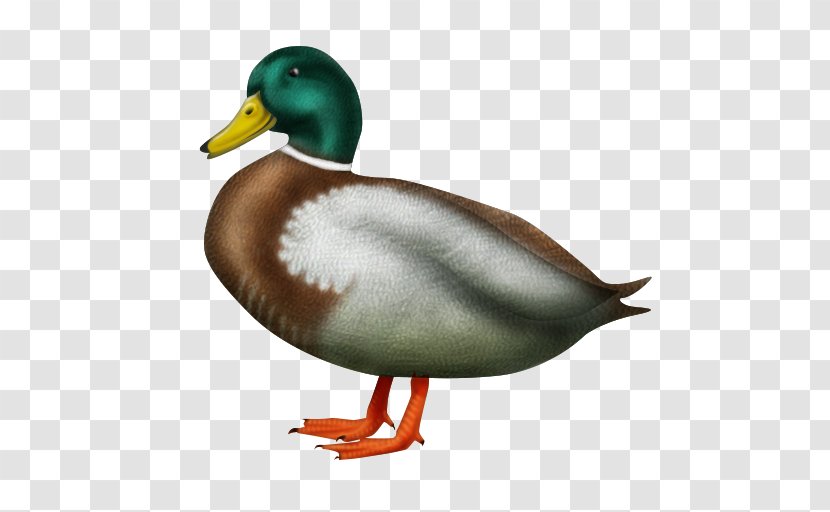Emojipedia Duck Text Messaging - Ducks Geese And Swans - Emoji Transparent PNG