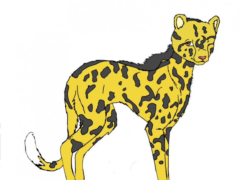 Cheetah Cat Lion Drawing Clip Art - Drawings Images Transparent PNG