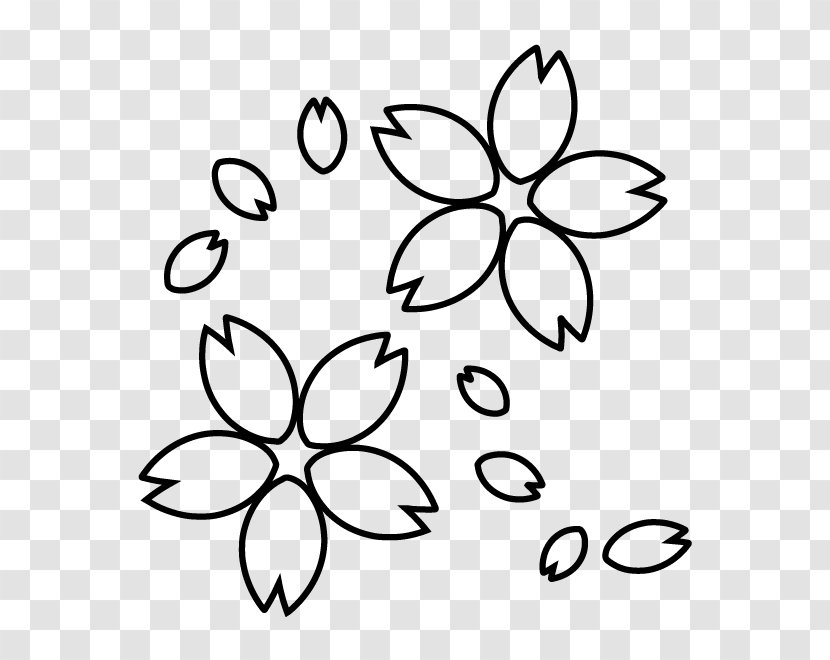 Black And White Cherry Blossom Monochrome Painting - Line Art Transparent PNG