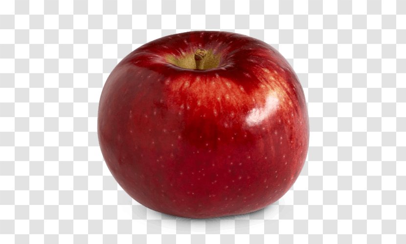 Apple Cider Spartan Cortland Fruit - Red Transparent PNG