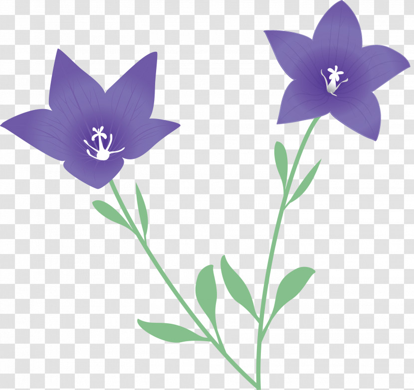 Balloon Flower Transparent PNG