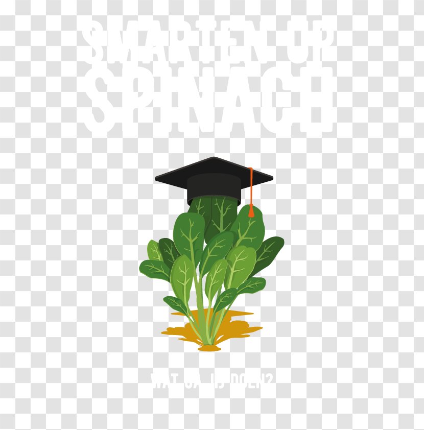 Seed Valley Projectbureau Blauwe Berg Spinach YouTube Vegetable - Flowerpot Transparent PNG