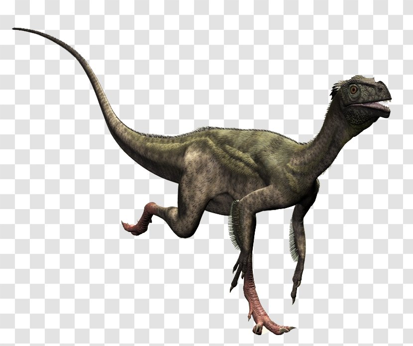 Ornitholestes Compsognathus Dilophosaurus Theropods Dinosaur - Oviraptor Transparent PNG