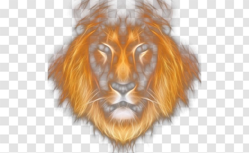 Lion Leo Rendering - Whiskers Transparent PNG