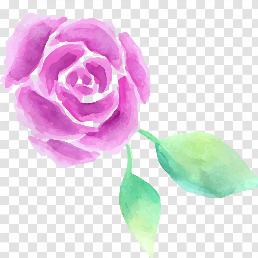 Garden Roses Centifolia Watercolor Painting - Flowers Transparent PNG