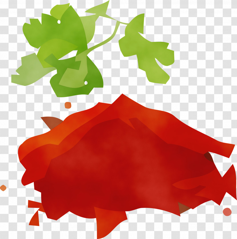 Leaf Flower Petal Maple Leaf / M Red Transparent PNG