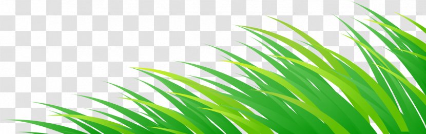 Illustration - Cartoon - Painted Fresh Grass Transparent PNG