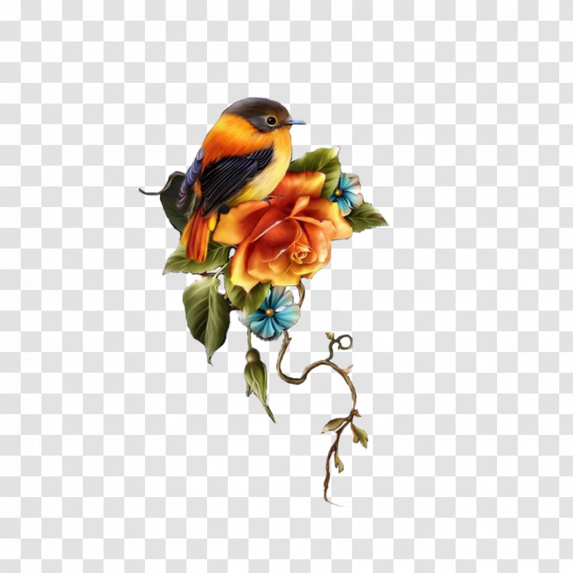 Animation Smiley Clip Art - Beak - Bird Flower Transparent PNG