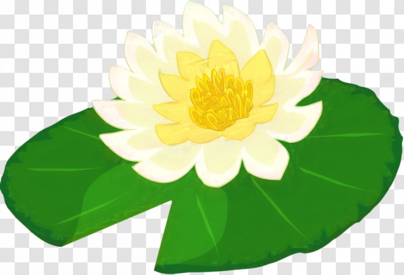 Drawing Of Family - Annual Plant - Perennial Sacred Lotus Transparent PNG