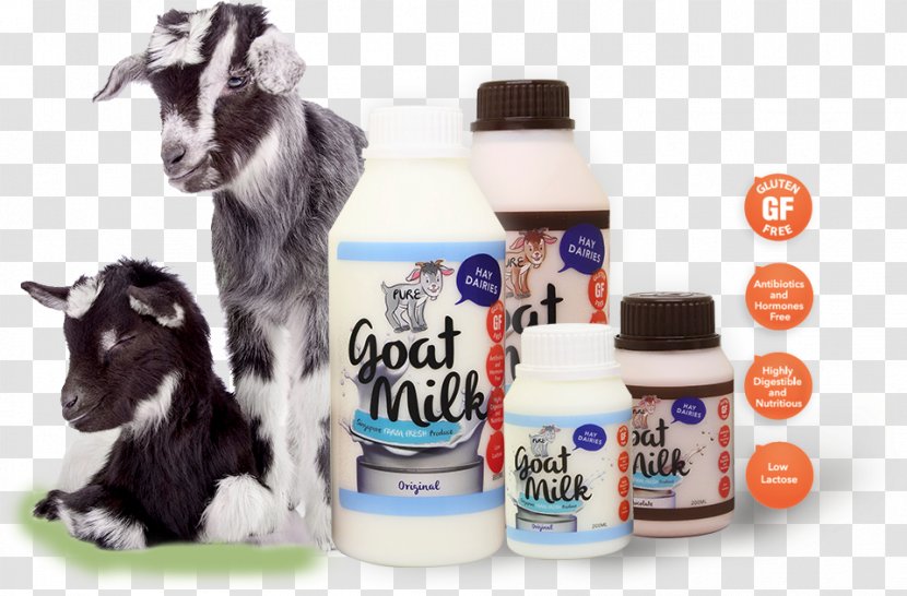 Goat Milk Hay Dairies Pte Ltd Transparent PNG