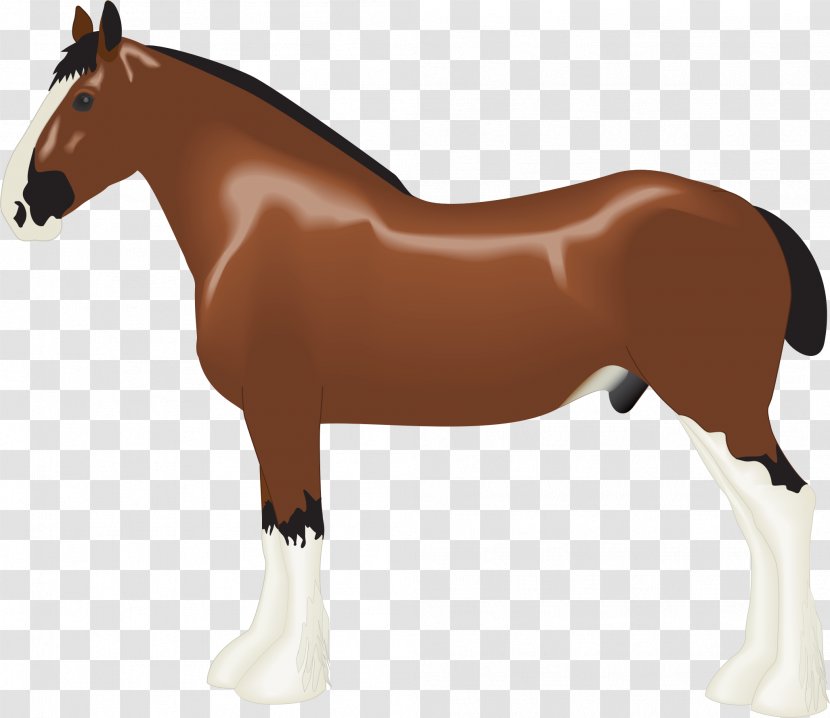 Clydesdale Horse Albanian Draft Clip Art - Saddle Transparent PNG