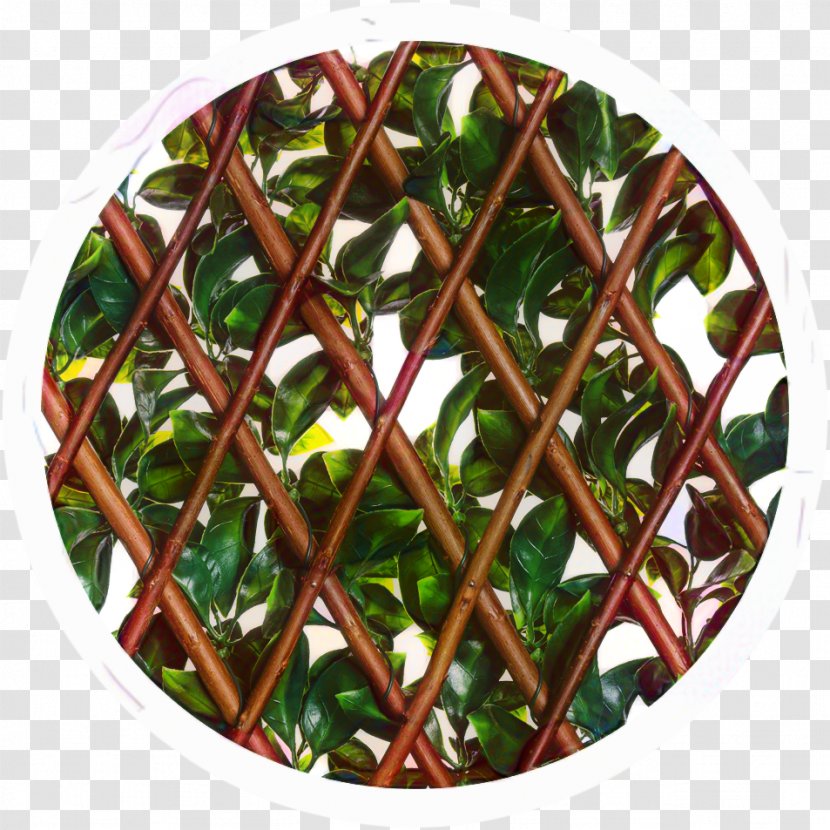 Green Leaf Background - Unbreakable - Morning Glory Orangutan Transparent PNG