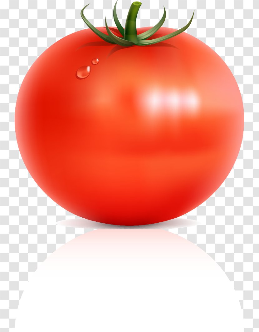 Tomato Fruit Vegetable - Berry - Fruits And Vegetables Vector Material Transparent PNG