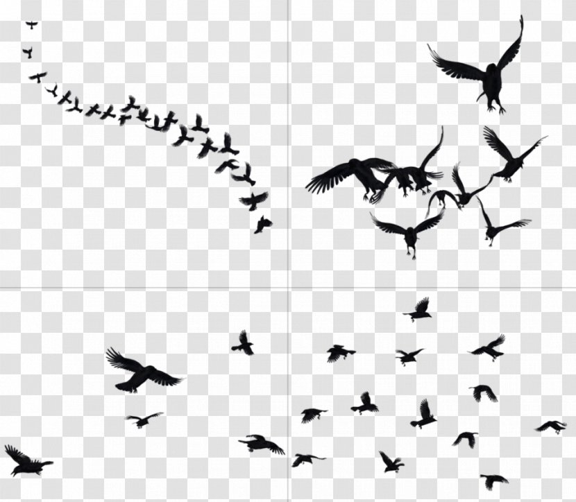 DeviantArt Bird Clip Art - Deviantart - Flying Crow Transparent PNG