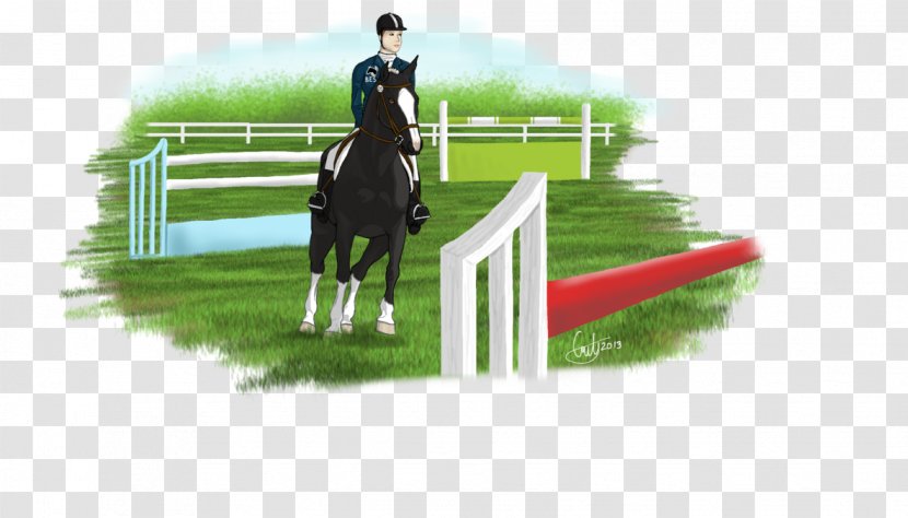 Show Jumping Stallion Horse Eventing Hunt Seat - Rein - Royal Pains Transparent PNG
