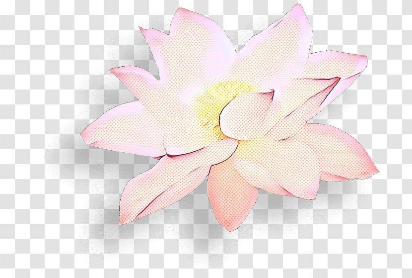 Lily Flower Cartoon - Blossom - Proteales Transparent PNG