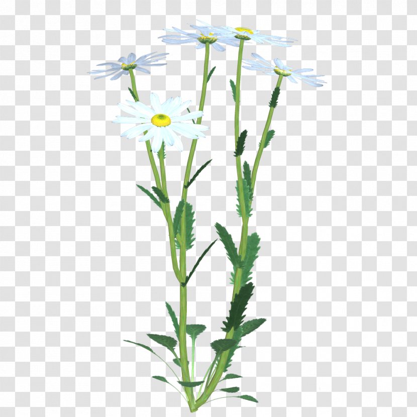 Cut Flowers Painting Floral Design - Plant - Cartoon Creative Decorative Patterns Transparent PNG