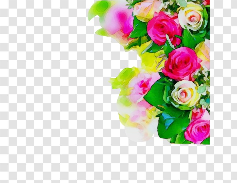 Garden Roses - Rose Order - Petal Transparent PNG