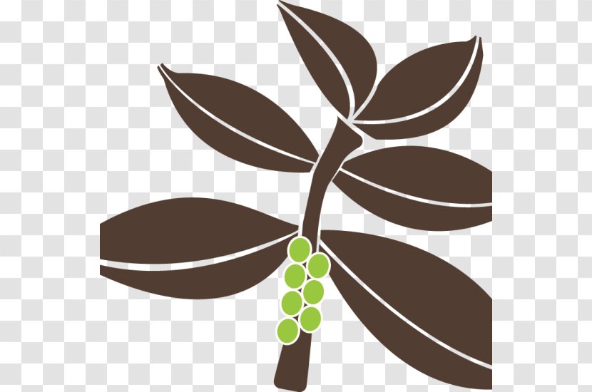 Clip Art Leaf Plant Stem - Think Together Volunteer Transparent PNG
