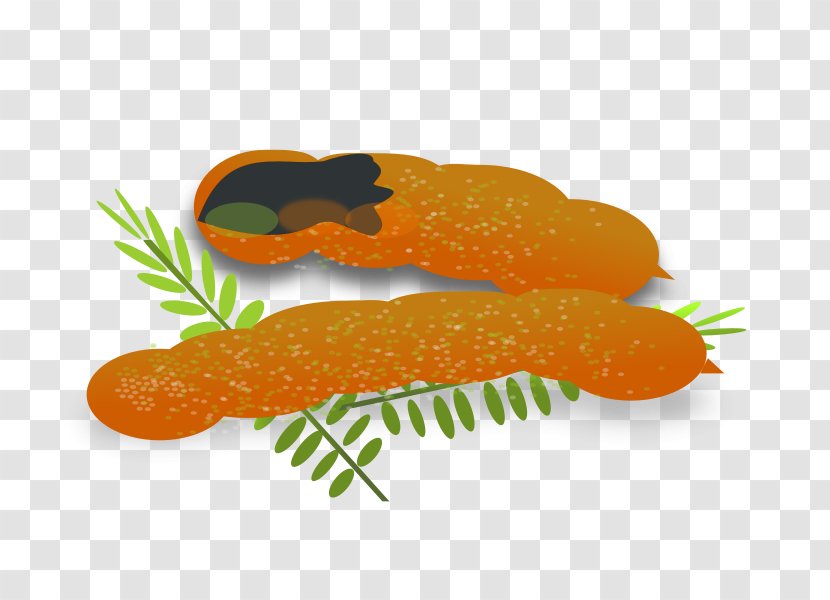 Tamarind Clip Art - Orange - Big Leaves Transparent PNG