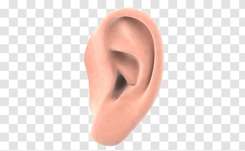 Hearing Microtia Atresia Pediatrics - Frame - Ear Transparent PNG