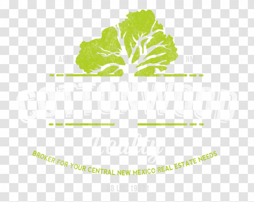 Leaf Vegetable Logo Herb Font - Brand Transparent PNG