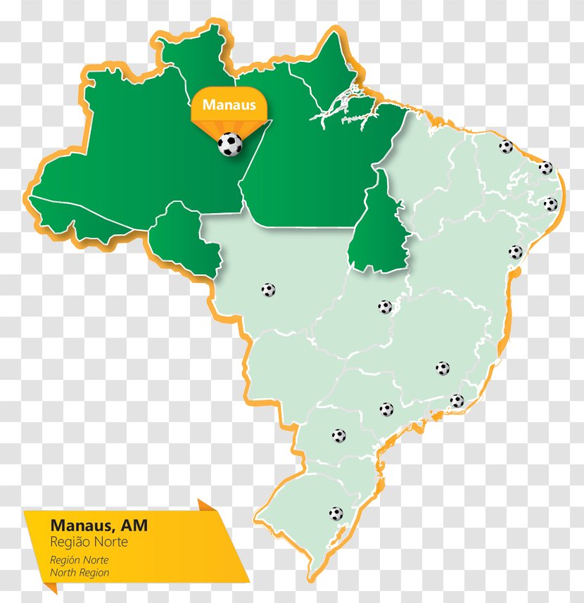 Acre Rondônia Roraima Pará South Amazonas - Federative Unit Of Brazil - Cup Transparent PNG