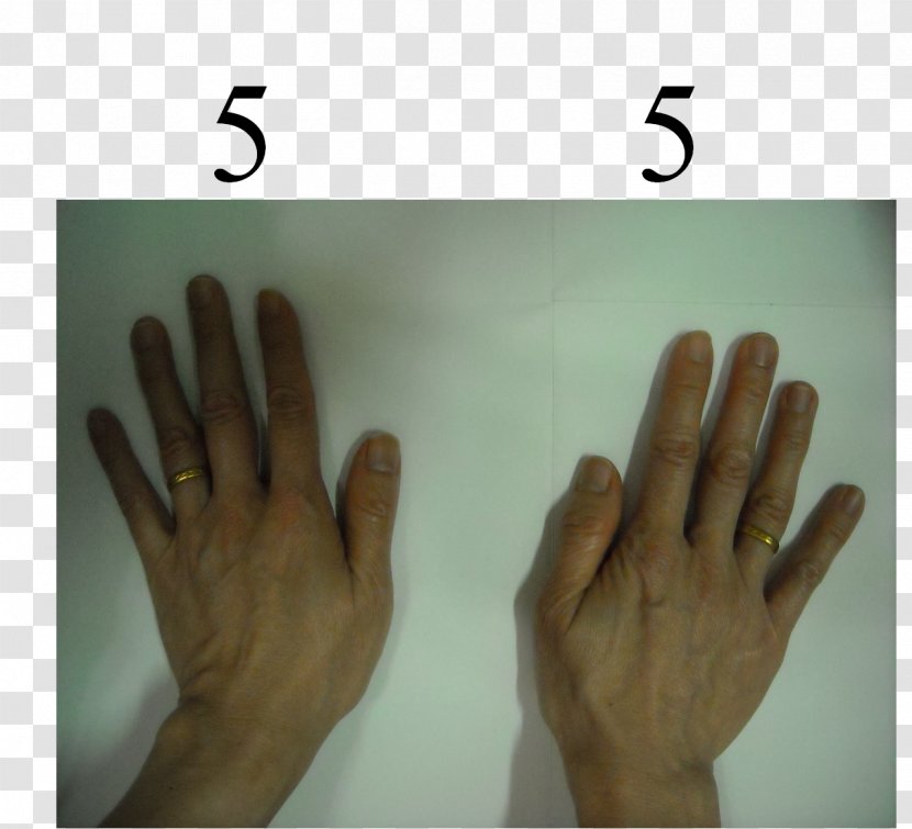 Thumb Hand Model Nail Font Transparent PNG